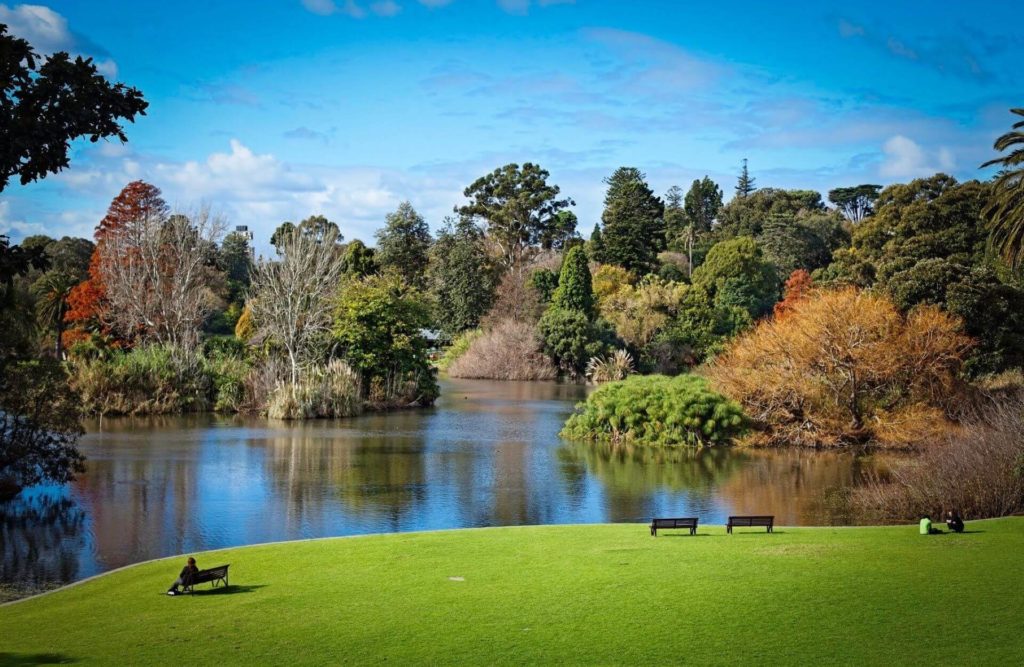 Melbourne royal botanical gardens