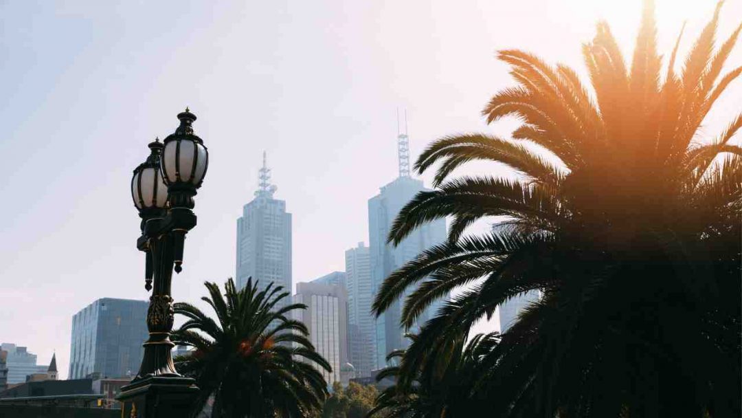 Palm trees in front of Melbourne city skyline