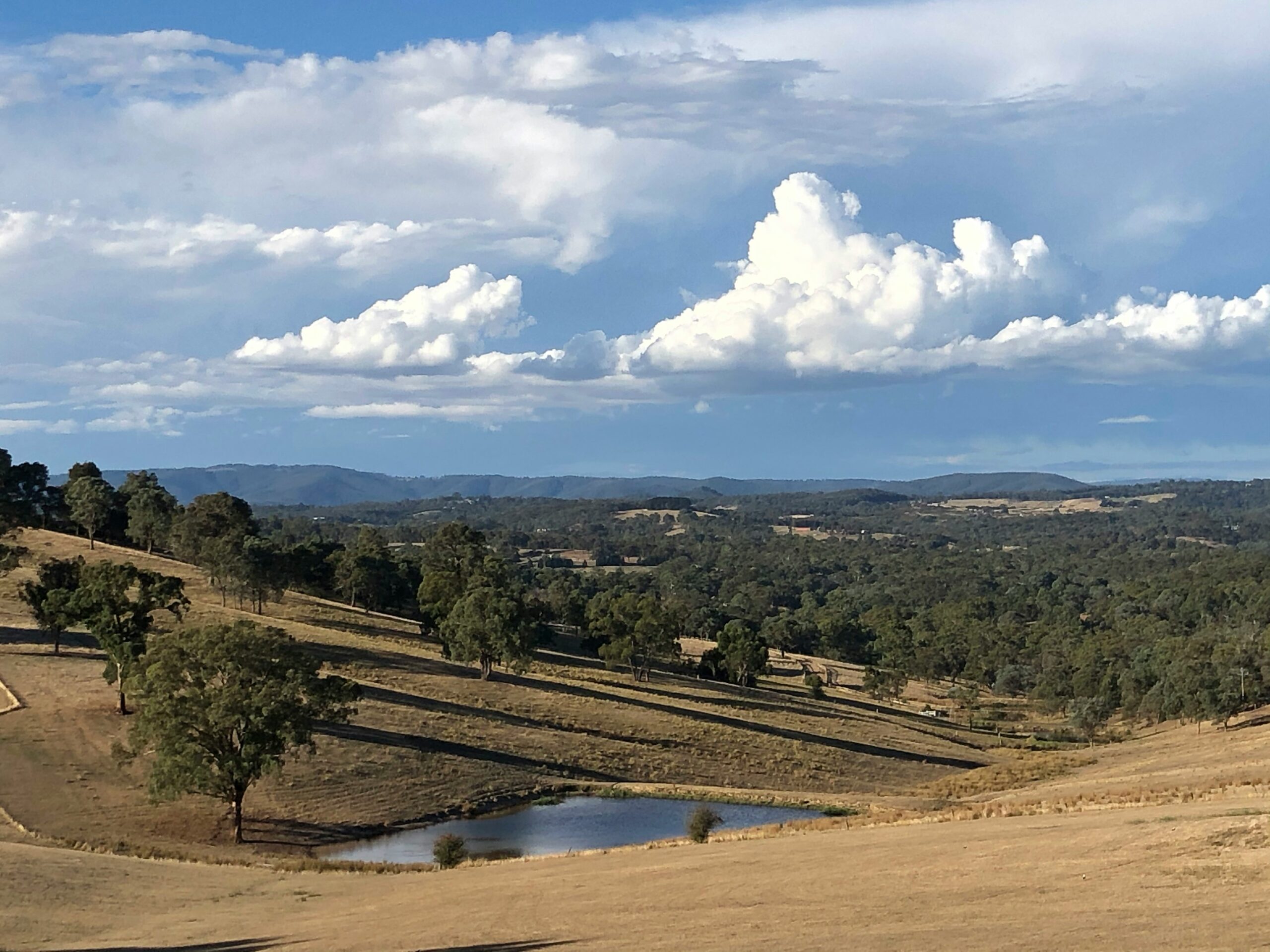 Scenic View of the Yarra Valley